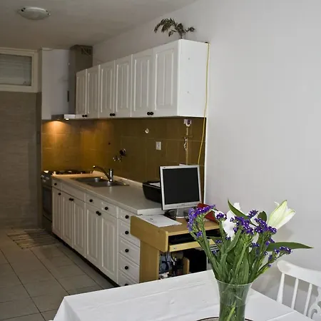 Olga Guest house